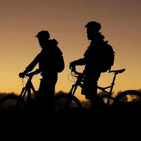 Alt Paznaun Konukevi 3*