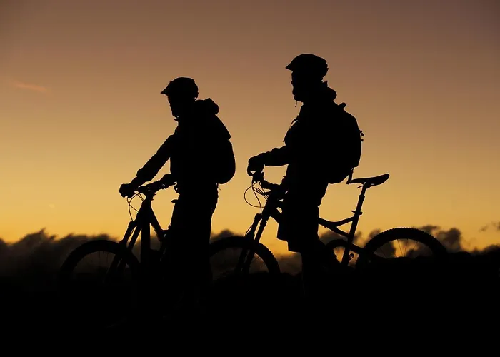 Alt Paznaun Πανσιόν 3*